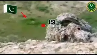 ISI Status | Markhor Whatsapp Status | Spot The Sniper