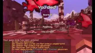 Hacker auf TheVace.net