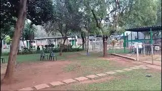 Post breakfast vibe at Pug Rescue South Africa