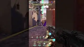 Thats why I use Phantom over Vandal #shorts #youtubeshorts #valoshorts #valorantshorts