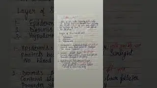 Layers of Skin: Epidermis, Dermis & Hypodermis (handwriting notes) 📝#lab #medicalstudent #shortvideo