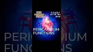 Depression and the Pericardium? This Podcast covers the functions of the Pericardium and more! ❤ Dr