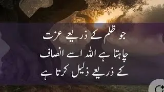 Ghup shup with Meerab 🥰