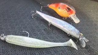 Top 3 lures for Lake Norman in February