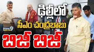 CM Chandrababu Naidu Delhi Tour LIVE Updates🔴| Prime9 News