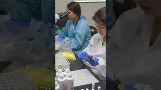 HCC Medical Lab Tech Program Director: 