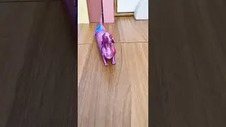 3D Printed Spring Dog 🥰❤️🐶