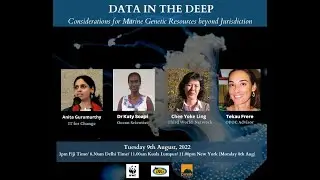 Data in the Deep: Considerations for Marine Genetic Resources beyond Jurisdiction