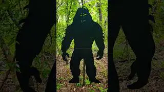 Gotta love cryptids #farmlife #cryptids