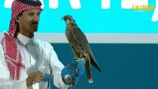 مزاد طرح محلي بنادي الصقور السعودي | لعدد 4 فروخ شاهين |  بتاريخ 6-11-2023