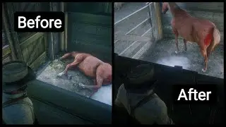What Happens When John Returns To The Barn After Delivering The Foal?