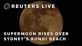 LIVE: Supermoon rises over Sydney's Bondi Beach | REUTERS