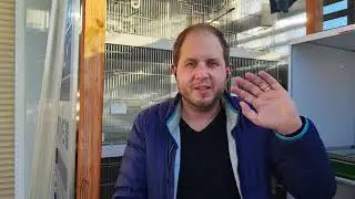 Eingewöhnung -  Die ersten Tage für Vogel-Neuzugänge im eigenen Bestand