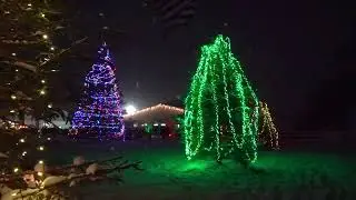 Gun Lake Winterfest Kick Off Treelighting