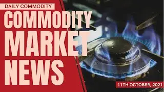 Commodity Market Breaking News | Market Analysis | Daily Commodity