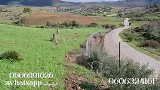 قطعتين ارضيتين محفظتين 3800متر في كل واحده واصلين الماء و الضوء و الطريق في ملوسة نواحي طنجة 