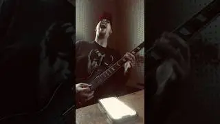 STILLBORN &bull; BLACK LABEL SOCIETY #guitar #cover #music #zakkwylde