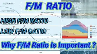 Food & Mass Ratio | F/M Ratio | ETP | High & Low F/M Ratio | Environmental Engineering | Shiwani Jha