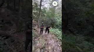 Pothigai Malai - Agasthyar Malai Trek - Longest trek in South India