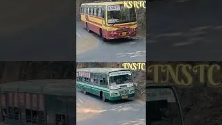 KSRTC or TNSTC which you like and why | #bus #best #ksrtc #tnstc #bus #buslovers