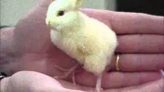 Happy Easter  4-8-12