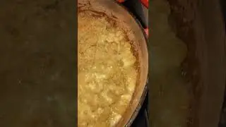 Martha Stewart's delicious mac & cheese sizzlingly hot fresh from the oven for dinner tonight