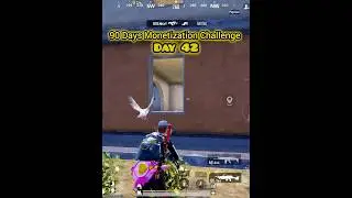 90 Days Monetization Challenge Day 42 🔥 YOUTUBE NIS