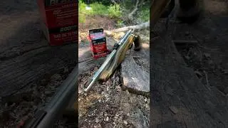 The Cricket .22 LR Pistol