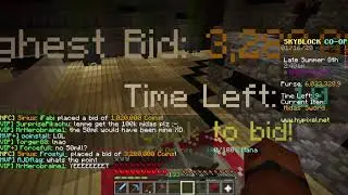 Hypixel Skyblock spending 6 Mil on flower Minion