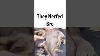 they nerfed lil bro💔