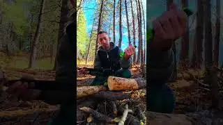 Gerber Freescape camp saw review!