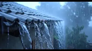 Heavy Rain on the Roof of a Traditional Village House &ndash; Cool Atmosphere