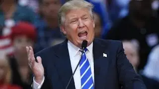 Donald Trump dominates newest polls
