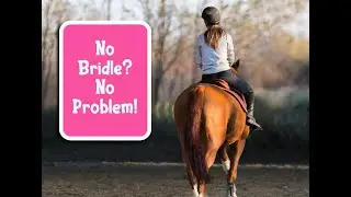 How to Ride a Horse Without a Bridle