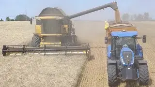 🇫🇷 MOISSON DE BLÉ  2022❗️New Holland CX8090 AVEC CES 7,60 MÈTRES DE COUPE 100% NEW HOLLAND 😍