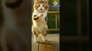 Ai#cat#dhanc