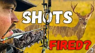 8 BIG BUCKS! Bowhunting Whitetails in Early Season BUCK NEST?