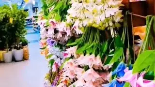 እልፍነሽ you tube is live ውድ ተመልካቾቼ እንደምን ዋላቹሁ ኑ ገባ ገባ በሉና እንደማመር