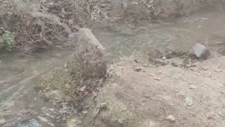 desi village life enjoy amazing swimming pool new very nice good pakistan 🫰🇩🇿✌️🎺