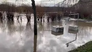Les cours d'eau débordent à Pont-l'Evêque