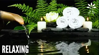 Natural Relaxation Sounds 🌿 Bamboo Water Fountain for Deep Sleep, Anxiety Relief & Meditation