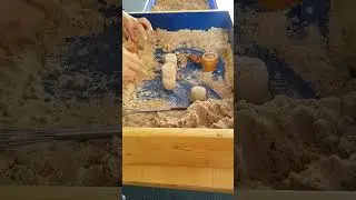 Sand Play Training