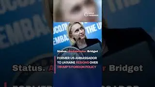 bridget brink: Former US ambassador to Ukraine resigns over Trump&rsquo;s foreign policy #politics