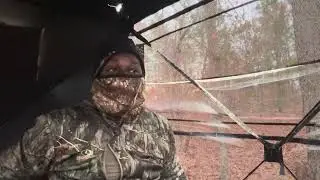 Another hunt with no deer activity 