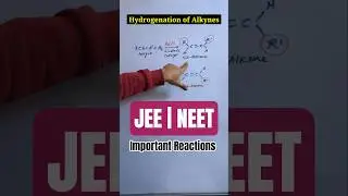 Hydrocarbons Important Reactions | JEE | NEET | CBSE #jee #neet #class11