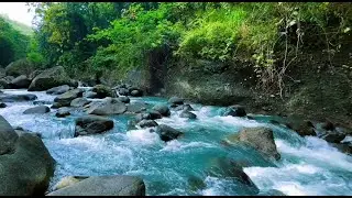 Relaxing Mountain Stream Sounds for Sleep, Meditation & Focus &ndash; Calming River Water Ambience