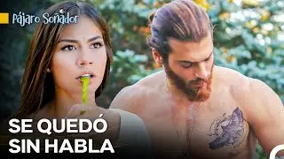 Estoy Colado Por Ti - Pájaro Soñador