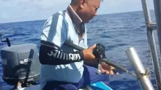 digia chan fishing 29 04 2017 part1