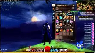 Guild Wars 2 - Dragon Coffer Goodies (Random Footage)