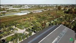 Nederhoff plants def 6 10 2017